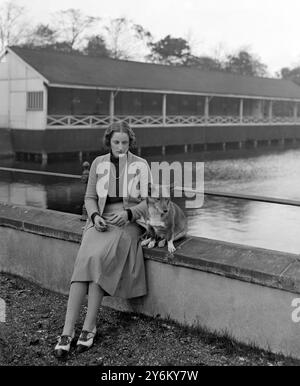 Kennel Club Show im Crystal Palace. Mrs. Bruce Fletcher mit ihrem walisischen Corgi. 1931 Stockfoto