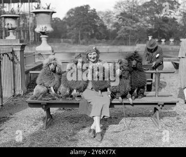 Kennel Club Show im Crystal Palace. Mrs. Murray Wilson mit ihrem Pudelteam. 1931 Stockfoto