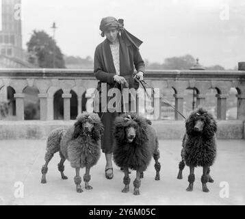Kennel Club Show im Crystal Palace. Mrs. G. Isaacs mit ihren Siegerpudeln. 4. Oktober 1922 Stockfoto