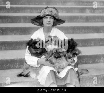 Kennel Club Show im Crystal Palace. Miss Olive Tritton und ihre Pekes. 5. Oktober 1922 Stockfoto