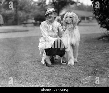Kennel Club Show im Crystal Palace. Frau Angela Bhanubandh mit ihrem afghanischen Hund "Chota Sahib". 1933 Stockfoto