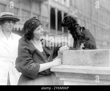 Kennel Club Show im Crystal Palace. Lady Fowler aus Breamore mit 'Goblin Desiree'. 4. Oktober 1922 Stockfoto