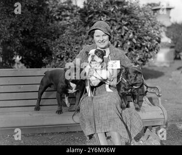 Kennel Club Show im Crystal Palace. Miss Kathleen Lunn mit preisgekrönten französischen Bulldoggen. 1933 Stockfoto
