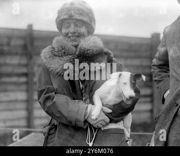 National Terrier Club Show in Cambridge. Kathleen Duchess of Newcastle mit ihrem Fox Terrier Carmine of Notts, möglicherweise Kathleen Pelham-Clinton, Herzogin von Newcastle unter Lyne, Clumber Park, Nottinghamshire, Ehefrau von Henry Pelham-Clinton, 7. Duke Stockfoto