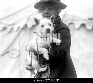 National Terrier Club Show in Cambridge. Die ehrenwerte Frau Gerald Lascelles mit ihrem West Highland White Terrier Lyndhurst Laird Stockfoto