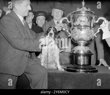 Cruft's Show in der Agricultural Hall. Islington. Mr. H.S. Lloyds 'exquisite of Ware', Champion der Show und die Trophäe. 10. Februar 1938 Stockfoto