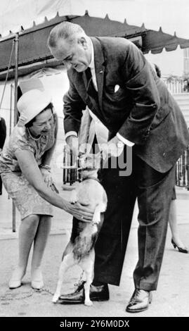 Washington: US-Präsident Lyndon B. Johnson zieht wieder Ohr. Der US-Chef machte am 26. Juli einen Spaziergang durch das Gelände des Weißen Hauses und begrüßte Touristen und Besucher. Der Präsident spielte mit seinem Haustier Beagles "er" und "sie" und zog einmal mehr einen der Hunde am Ohr hoch -- eine Aktion, die Anfang des Jahres Protestheulen von Tierorganisationen hervorrief. Mrs. Claudia 'Lady Bird' Johnson bummelt hier, um den Beagle am Bauch zu kratzen. 28. Juli 1964 Stockfoto
