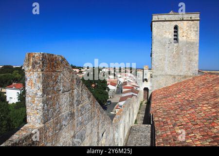 Frankreich, Nouvelle Aquitaine, Departement charente (17), Marais poitevin, Esnandes Stockfoto