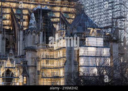 Frankreich, Paris, 75, 4. Arrondissement, Gerüste gegen Notre-Dame errichtet, um seine Restaurierung nach dem Brand vom 15. April 2019 durchzuführen. (Feb Stockfoto