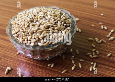 Weizenkörner auf Holzplanken Hintergrund, Weizensamen, rohe und gekochte Gerste Perlensamen in einer Schüssel oder über braunem Hintergrund. Selektiver Fokus Stockfoto