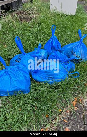 Der Ostalbkreis Baden Württemberg steigt um vom Plastik Biobeute hin zum Papier Biobeutel. Gleichzeitig werden Biotonnen mit einem Fassungsvermoegen von 45 bis 120 Liter eingefuehrt. Der Plastiksack hat ausgedient. Biobeutel und Biobeuteltonne - Biobeutel und Biobeutel-Tonne der Ostalbkreis Baden Württemberg steigt um vom Plastik Biobeute hin zum Papier Biobeutel. Gleichzeitig werden Biotonnen mit einem Fassungsvermoegen von 45 bis 120 Liter eingefuehrt. Der Plastiksack hat ausgedient. Deutschland, Mögglingen, Firma GOA, 25.09.2024 *** der Ostalbkreis Baden-Württemberg ist umgebaut Stockfoto