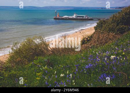 Vereinigtes Königreich, England, Dorset, Bournemouth. Der Pier Stockfoto