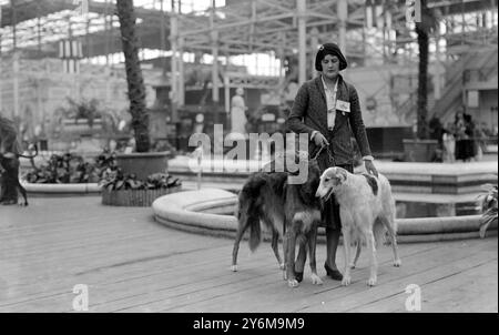 Kennel Club Show im Crystal Palace. Miss Diana Atkinson und ihre Borzois. 1930 Stockfoto