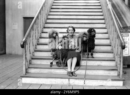 Kennel Club Show im Crystal Palace. Mrs. Murray-Wilson und ihre französischen Pudel. 1930 Stockfoto