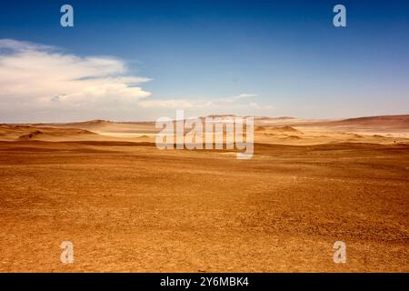 Ein weitläufiger Blick auf die Wüste Paracas mit Sanddünen unter einem klaren blauen Himmel. Das Bild fängt die weite, ruhige Schönheit dieser natürlichen umgebung ein Stockfoto