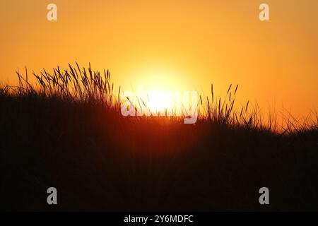 Wunderschöne Aufnahme eines orangen Abendhimmels mit Sonnenuntergang hinter einer grasbewachsenen Düne, Kopierraum Stockfoto
