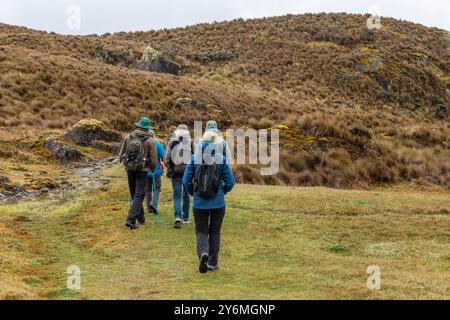 Menschen wandern im Cajas Nationalpark, Cuenca, Ecuador. Stockfoto