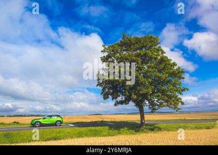 Isolierter Baum vor blauem Himmel am Straßenrand, ein grünes Auto fährt vorbei Stockfoto