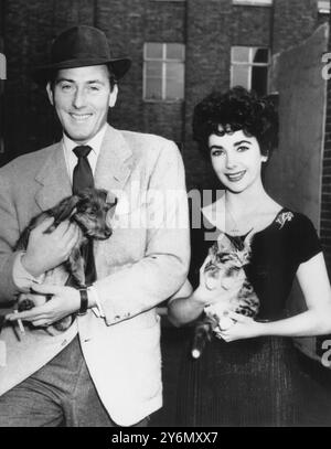 Schauspielerin Elizabeth Taylor und Ehemann Michael Wilding mit einem Welpen und Kätzchen 16. Juni 1952 Stockfoto