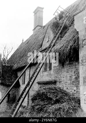 Das Handwerk des Stroh - der thatcher legt seinen alten Kragen auf einem malerischen Cottage in Cranford, Northants. 25. November 1933 Stockfoto