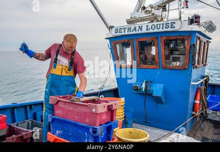 Robert Ball (59 Jahre alt) und sein Sohn Shane (24) fischen im Englischen Ärmelkanal, etwa 8 Meilen vom Hafen von Rye, East Sussex, August 2017. Sie sind über 12 Stunden auf See und fangen hauptsächlich Dover-Seezunge, Scholle, Weißfisch und Dopps. Stockfoto