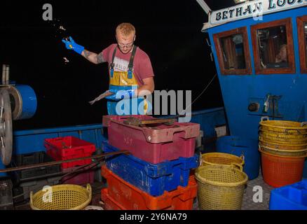 Hastings Fischer Shane Ball (24 Jahre alt), Fischausschnitt im Ärmelkanal, ca. 8 km vom Hafen von Rye, East Sussex, August 2017. Sie sind über 12 Stunden auf See und fangen hauptsächlich Dover-Seezunge, Scholle, Weißfisch und Dopps. Stockfoto