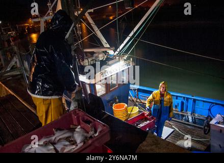 Robert Ball (59 Jahre alt) und sein Sohn Shane (24), die im August 2017 im Hafen von Rye, East Sussex ihren Fang von Dover-Seezunge, Scholle, Weißfisch und Dopps entladen. Sie sind seit über 12 Stunden auf See. Stockfoto