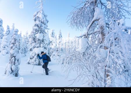 Skandinavien, Lappland, Finnland. Riisitunturi Nationalpark Stockfoto