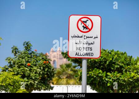 Vereinigte Arabische Emirate, Abu Dhabi Stockfoto