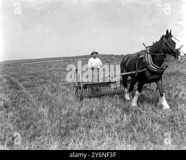 Erntemaschinen campen in Weasenham, Norfolk, wo Schulmeister und Geistliche bei der Ernte helfen. Organisiert von Pfarrer Gough McCormick Vikar vom St. Michael's Chester Square. Stockfoto