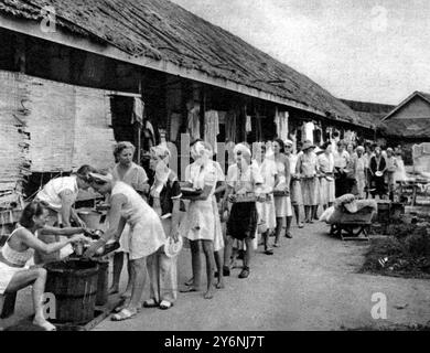 Das Leben in einem japanischen Internierungslager für britische Frauen in Singapur internierte Frauen, die sich anschlangen, um ihre Hungerrationen zu erhalten, was zu unzureichend war, um das Leben aufrecht zu erhalten. Später wurde die Erlaubnis erteilt, Lebensmittel von außen zu kaufen. November 1945 ©2004 Topfoto Stockfoto