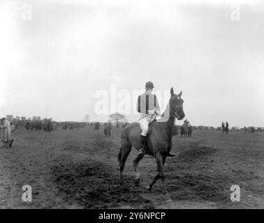 Oxford University Point-to-Point Steeplechases wurden in Stratton Audley abgehalten. Hon G.R.D. Brown auf "Sligo" im Faber Cup. 9. März 1921 Stockfoto