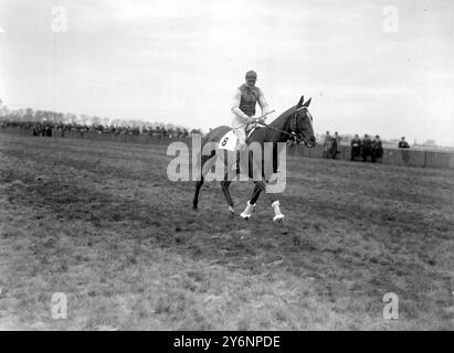 Grand Military Steeplechases treffen sich im Sandown Park. Lord Londesborough auf "Gay Me", den er zum Sieg in der Selling Steeplechase ritt. 12. März 1921 Stockfoto