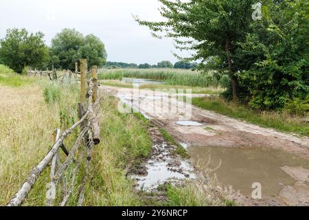 Kaputte Feldstraße im Dorf mit vielen schlammigen Pfützen nach Regen Stockfoto