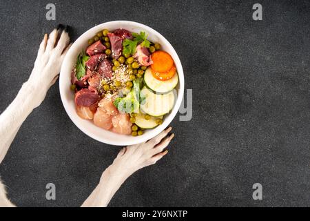 BARF (biologisch angemessenes Rohfutter) Lebensmittelkonzept, gesunde Schüssel für Haustiere Hintergrund mit Hundepfoten in Bild. Portion rohes Fleisch, Huhn, f Stockfoto