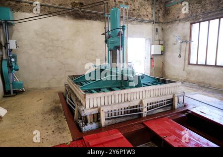 Châtillon-sur-Marne (Nordfrankreich): Die Champagnerernte Conart Despesel. Traubenverarbeitung in der traditionellen Presse Stockfoto