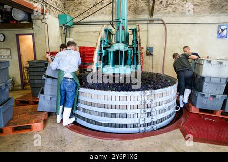 Châtillon-sur-Marne (Nordfrankreich): Die Champagnerernte Conart Despesel. Traubenverarbeitung in der traditionellen Presse durch landwirtschaftliche Betriebe und Saisonarbeiter Stockfoto