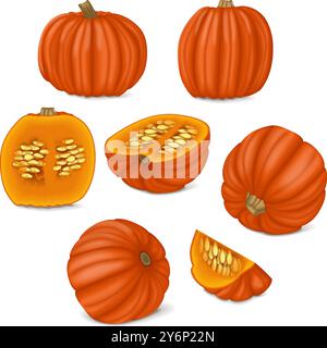 Clip Art. Big Max Kürbis. Winter-Squash. Cucurbita maxima. Obst und Gemüse. Isolierte Vektordarstellung. Stock Vektor