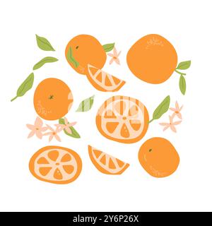 Abstrakte Mandarinen- oder Orangengruppen: Früchte, Scheiben, halbe, ganze und Blätter, Blumen. Orange abstrakte Hand gezeichnete Zitrussammlung mit Blättern und Blumen isoliert auf weißem Hintergrund. Mandarine Pflanzenteil Stock Vektor