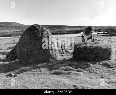 Die ganze Familie hilft, wenn man in den Äußeren Hebriden einen heurick baut. Dieses Bild zeigt eine Familie von Crofters bei Lochboisdale in South Uist. 22/9/60 Stockfoto