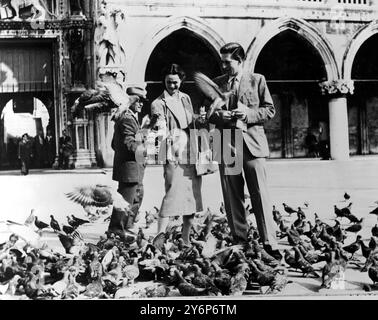 Das Flitterwochenpaar füttert die Tauben auf dem Markusplatz Venedig Italien Earl und Gräfin Harewood am 8. September 1949 Stockfoto