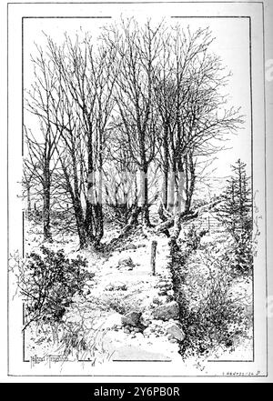 Der Ardlamont-Mordprozess in Schottland, wo die Leiche von Lietuenat Cecil Hambrough gefunden wurde der Mord an Ardlamont (auch bekannt als Ardlamont Mystery and the Monson Case), der am 10. August 1893 in Argyll (Schottland) stattfand, führte zu zwei hochkarätigen Gerichtsverfahren: einem Mordverfahren in Edinburgh (HM Advocate gegen Monson) und einem Diffamierungsverfahren in London (Monson gegen Tussauds Ltd) im folgenden Jahr. Alfred John Monson erhielt in seinem High Court of Justiciary Prozess für den Mord an Cecil Hambrough das schottische Urteil „nicht bewiesen“. 1894 verklagte er Madame Tussauds Stockfoto