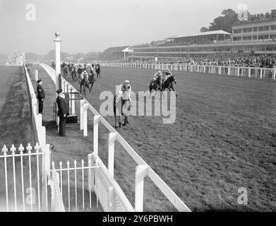 FAVORIT " SUPERTELLO " EASY GEWINNER DER CARDIGAN STAKES Supertello , im Besitz von Mr . W. Harvey und geritten von D. Smith gewann am ersten Tag des Oktobertreffens als Ascot , Berkshire , einen leichten Vierersieg in den zwei-Meilen-Cardigan-Stakes . Der zweite war Winter Starlight (im Besitz von Mr. W.B. Bowyer ) mit P. Tomlin oben . Sir William Cookes Winifred wurde Dritter, Jockey T . Carter hoch. DAS BILD ZEIGT:- SUPERTELLO zeigt den sanften Gang eines Siegers , während der von D. Smith gerittene Hengst die Ziellinie vor dem Feld in den zwei Meilen langen Cardigan Stakes in Ascot , Berkshire , überquert . ( Fr Stockfoto