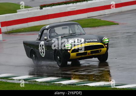 Tristan Bradfield, Sunbeam Alpine, Fordwater Trophy, ein fünfundzwanzig-minütiges Einzelfahrer-Rennen für serienbasierte GT- und Sportwagen, das an der Veranstaltung teilnahm Stockfoto