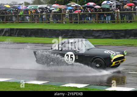 Tristan Bradfield, Sunbeam Alpine, Fordwater Trophy, ein fünfundzwanzig-minütiges Einzelfahrer-Rennen für serienbasierte GT- und Sportwagen, das an der Veranstaltung teilnahm Stockfoto