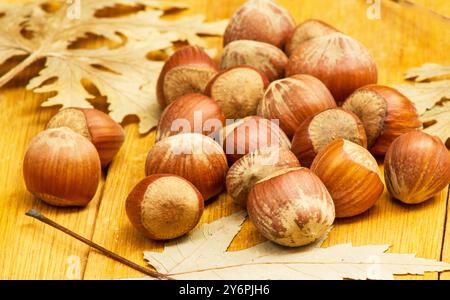 Haselnüsse und Herbstblätter auf einem Holztisch Stockfoto