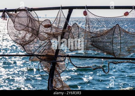 Fischfallen hängen zum Trocknen auf einem Gestell im Fischerdorf Ålabodarna, während die Öresund im Hintergrund glitzert. Der Wasserturm von Landskrona steht im Hintergrund. Ålabodstranden, Skåne, Schweden. Stockfoto