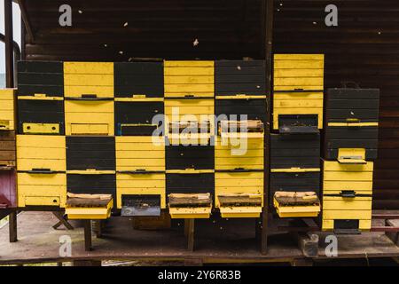 Eingang zum Bienenstock mit Landeplatz, Honigbienen kommen und gehen, starten und landen Stockfoto