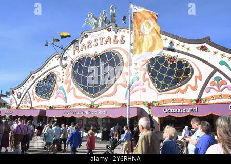 Marstall Festzelt München 25.09.24 Theresienwiesn Oktoberfest Festzelt München *** Marstall Festzelt München 25 09 24 Theresienwiesn Oktoberfest Festzelt München Stockfoto