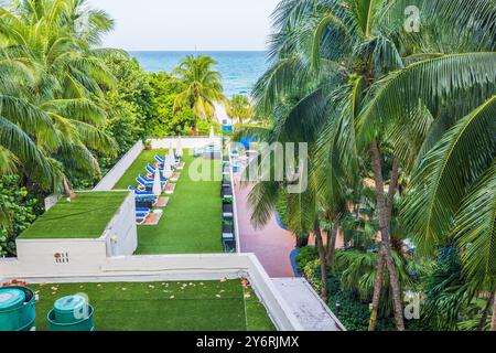 Palmen und Liegestühle in der Nähe des Poolbereichs des Strandhotels in Miami Beach am Atlantik. USA. Stockfoto